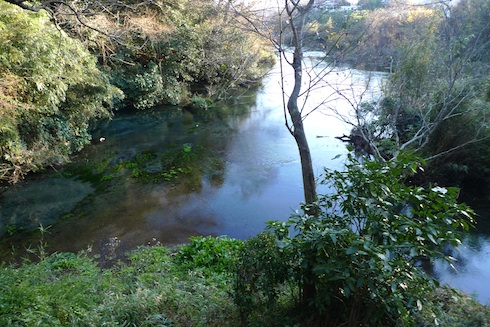 柿田川-02